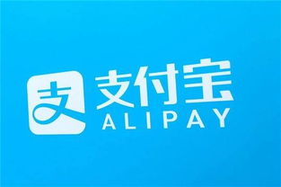 婚姻家庭類法律咨詢中經(jīng)濟封鎖問題突出，支付寶平臺數(shù)據(jù)顯示占比近六成